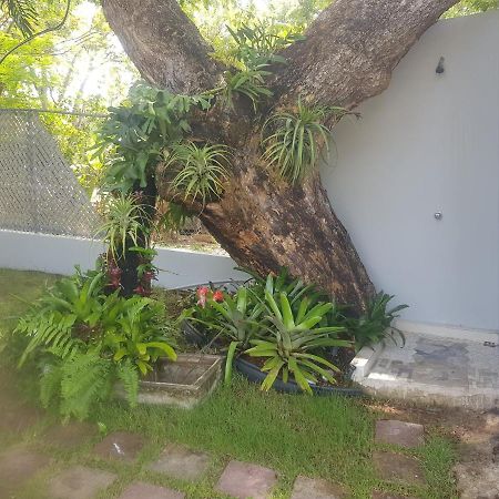 Always Summer Inn Isla Culebra Exterior photo
