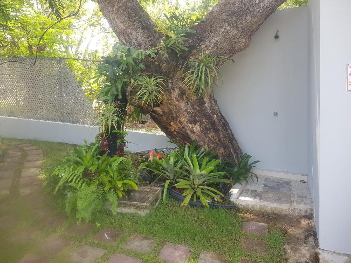Always Summer Inn Isla Culebra Exterior photo