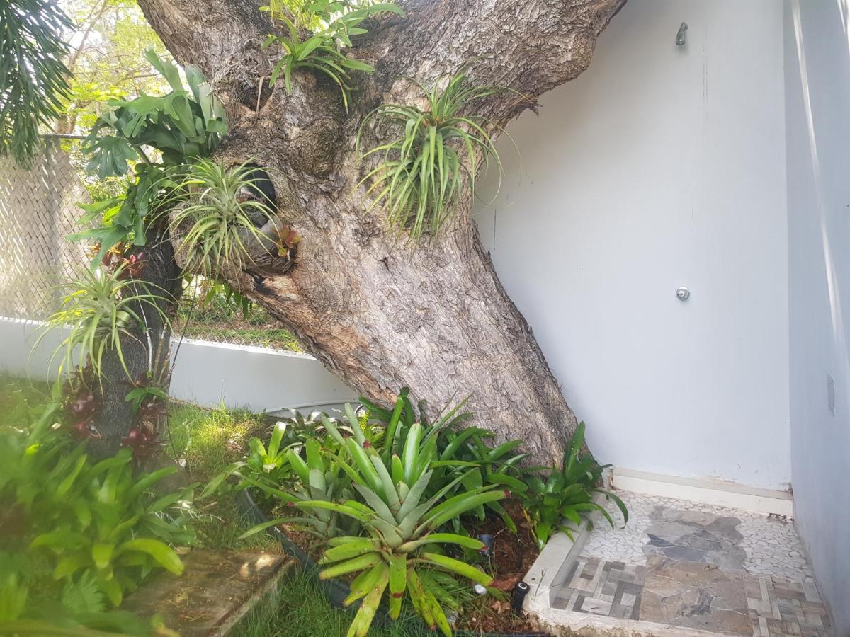 Always Summer Inn Isla Culebra Exterior photo